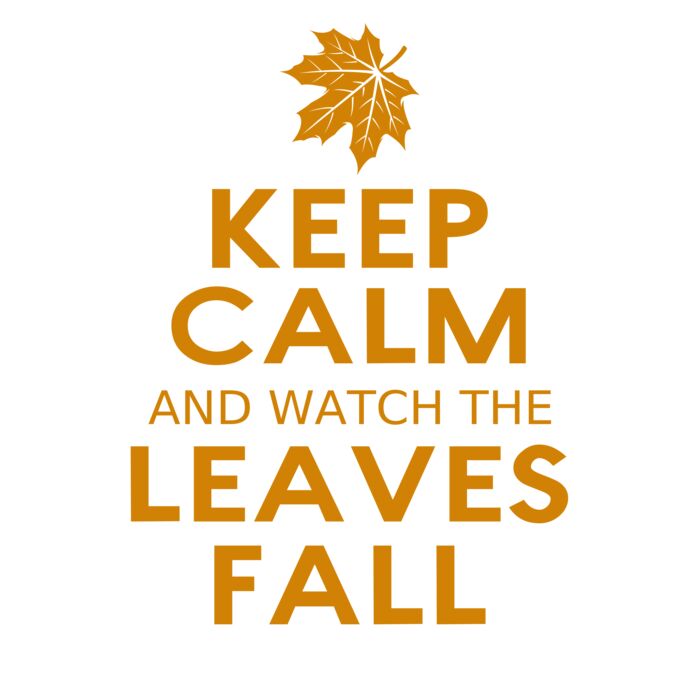 Fall Season 04 Vignette