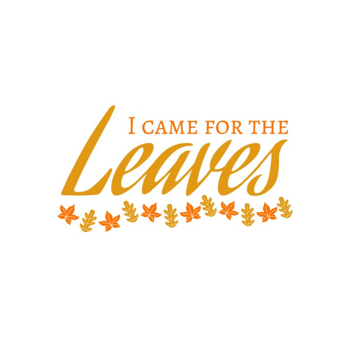 Fall Season 28 Vignette