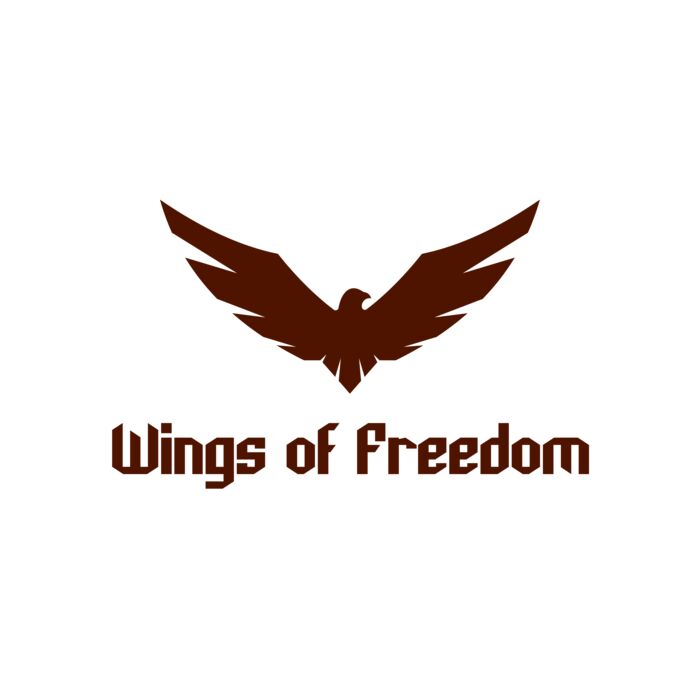 Air Force 05 Vignette