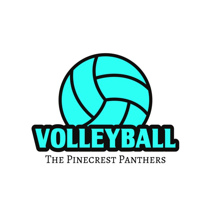 Volleyball 37 Vignette