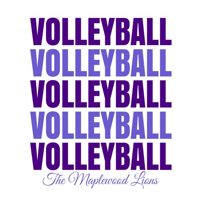 Volleyball 44 Vignette