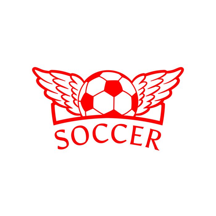 Soccer 43 Vignette