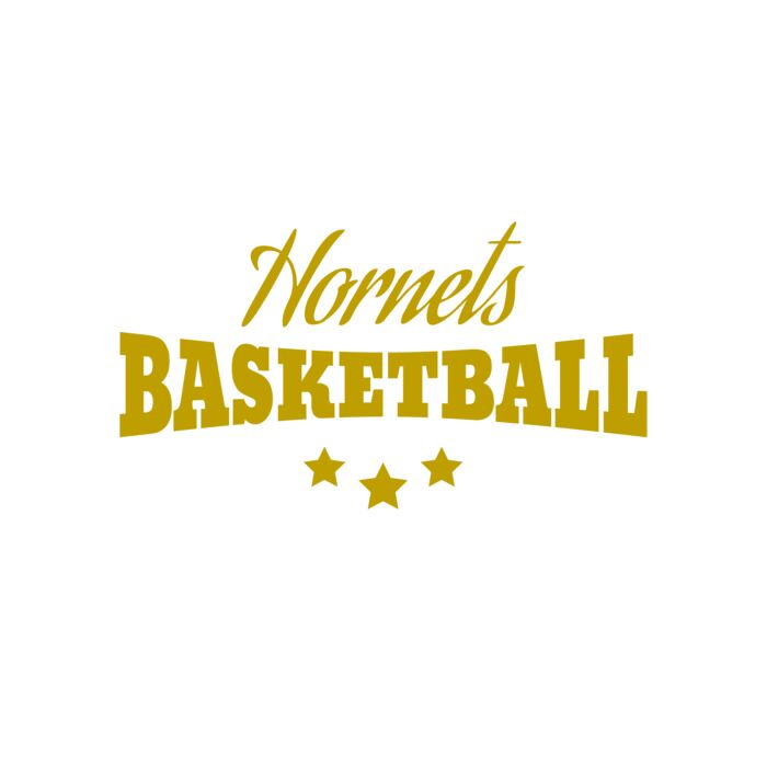 Basketball 017 Vignette