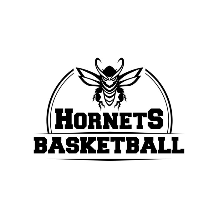 Basketball 038 Vignette