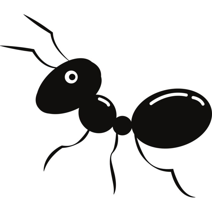 Ant   Clipart 2 Vignette