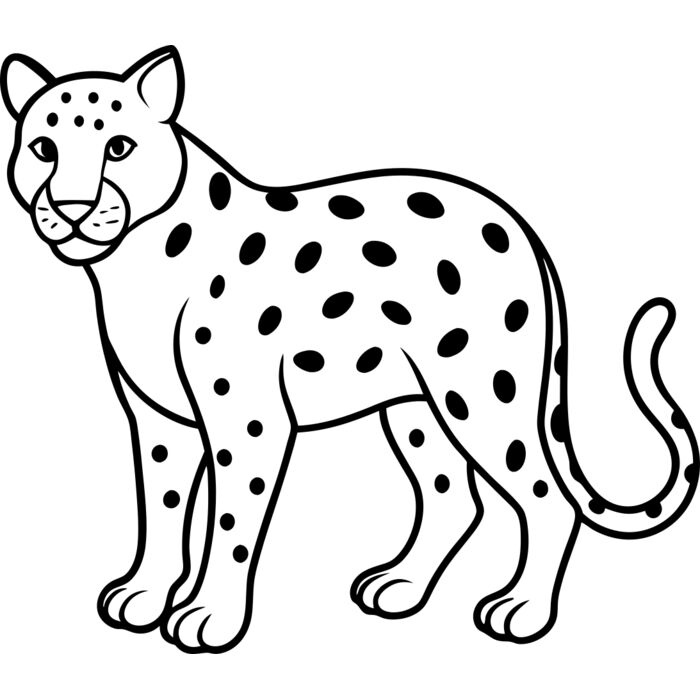 Jaguar   Clipart 2 Vignette