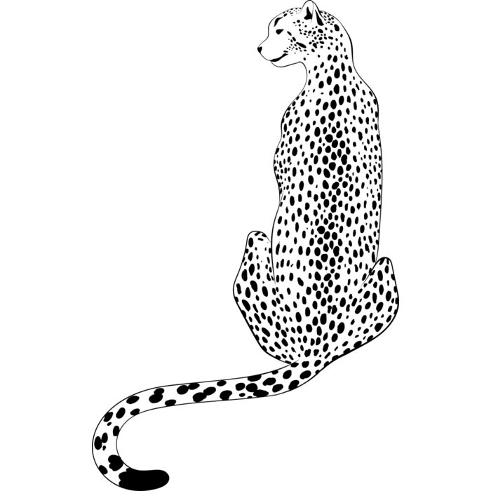 Leopard   Clipart 4 Vignette