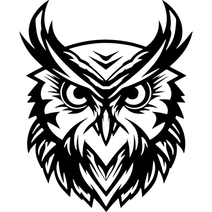Owl   Clipart 3 Vignette