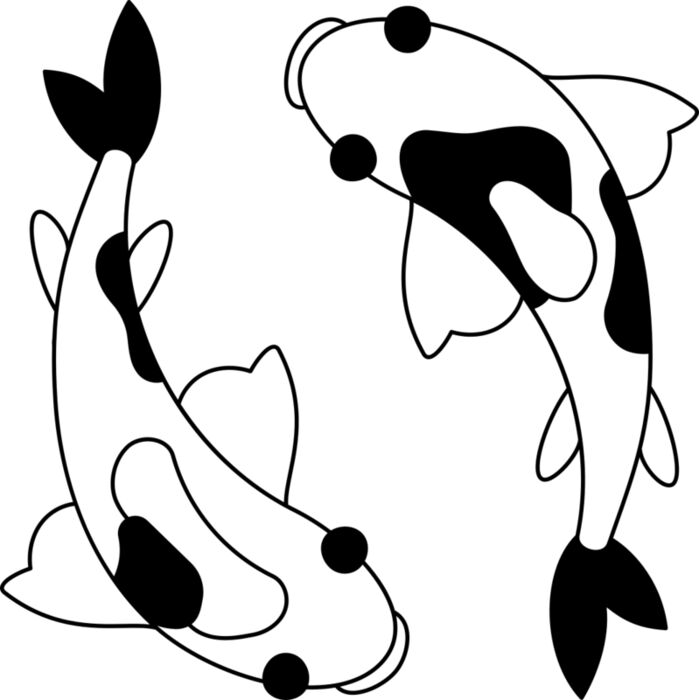 Yin-Yang Koi Fish Vignette