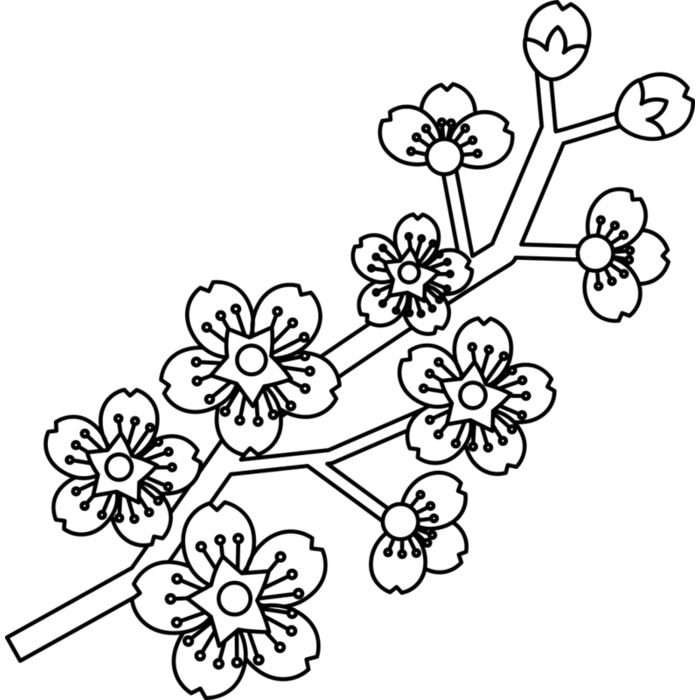 Cherry Blossom Branch Vignette