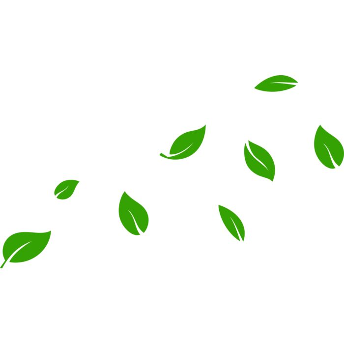 13 Leaves Vignette