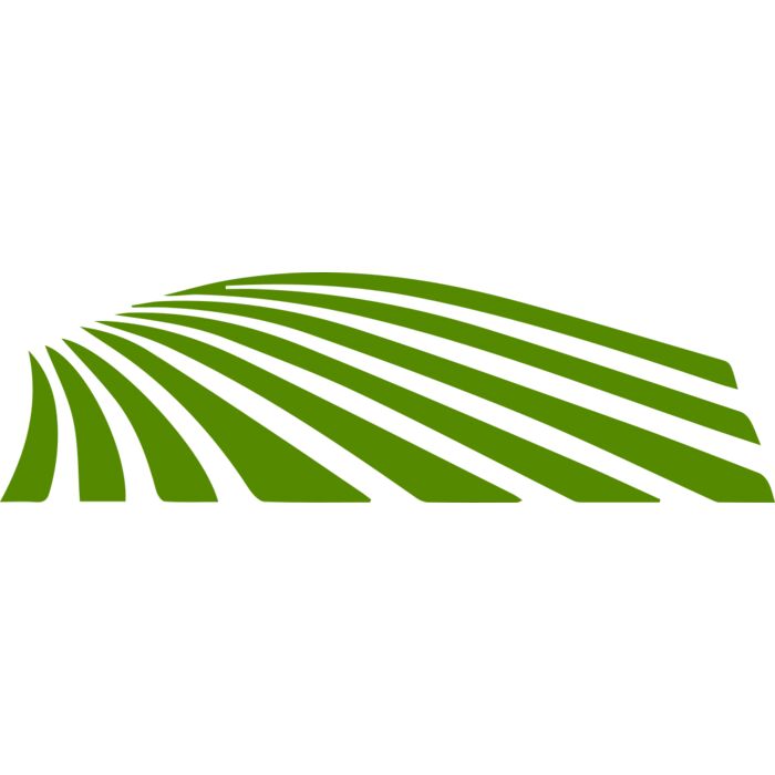 67 Rice Field Vignette