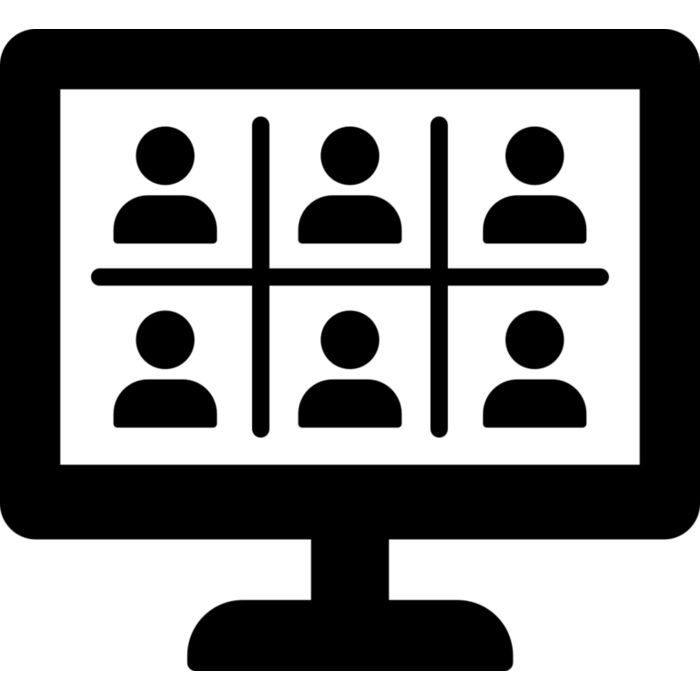 20 Online Meeting Vignette