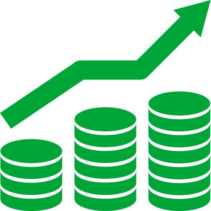 1 Business Progress Vignette