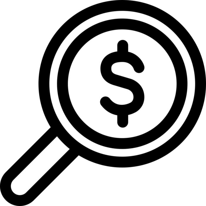 Investment Vignette