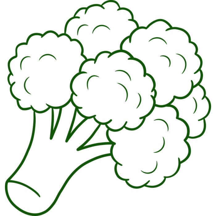 Brocolli 2 Vignette