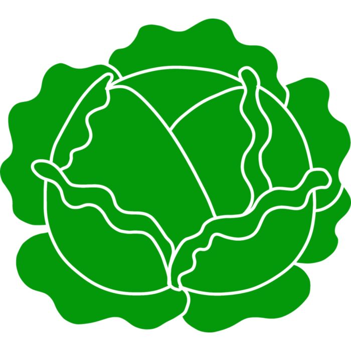 Cabbage Vignette