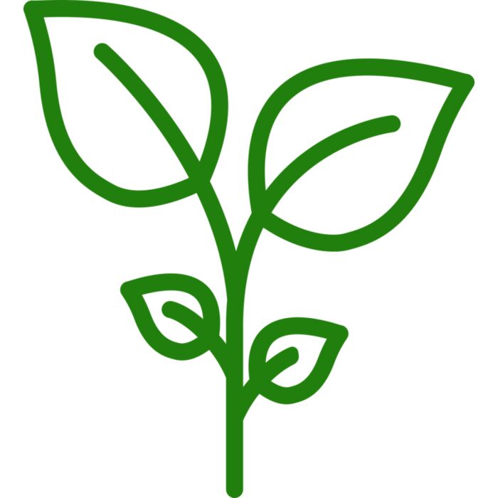 Plant Vignette