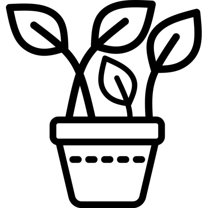 Plotted Plant 3 Vignette