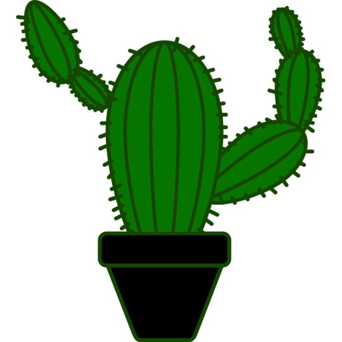 Cactus 4 Vignette