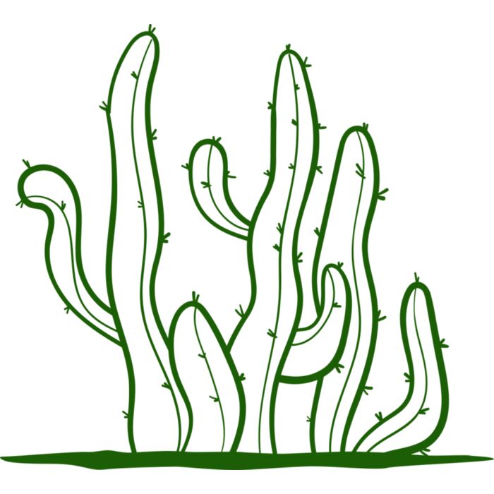 Cactus 2 Vignette