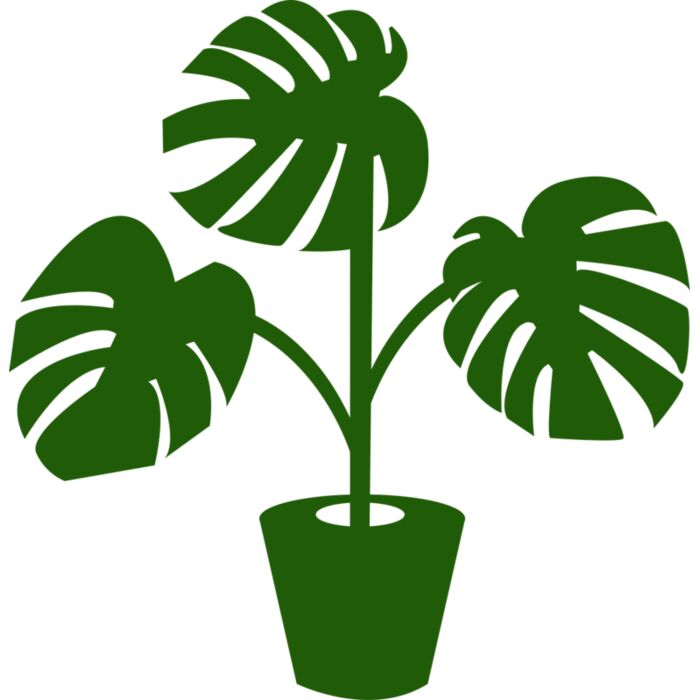 Plant Vignette