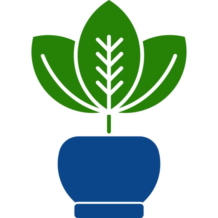 Plant 2 Vignette