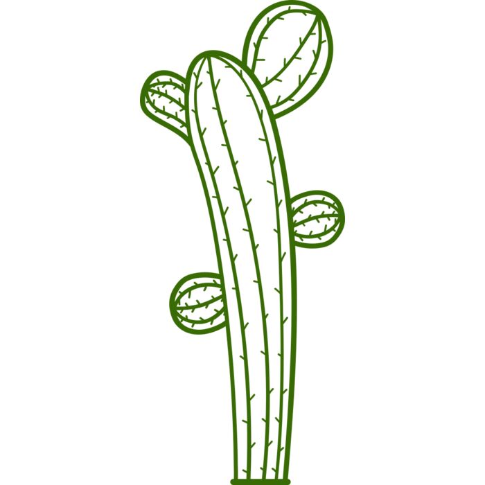 Cactus Vignette