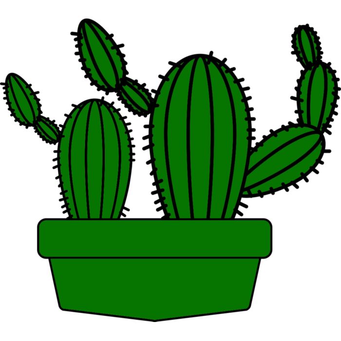 Cactus 5 Vignette