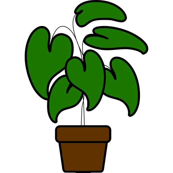 Plant Vignette