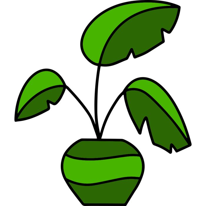 Plant Vignette