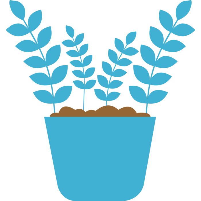 Plant 5 Vignette