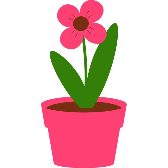 Plant 4 Vignette