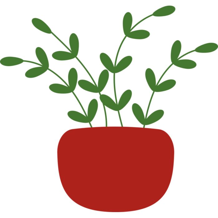 Plant 3 Vignette