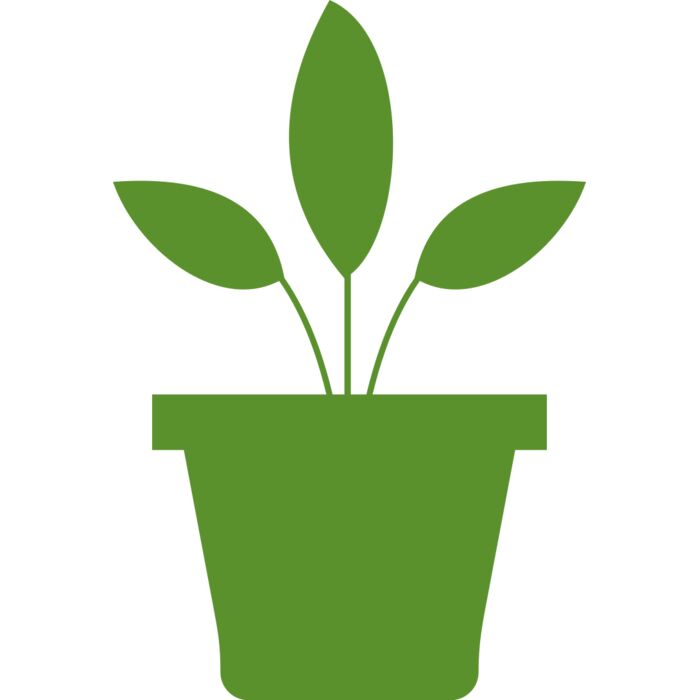 Plant 2 Vignette