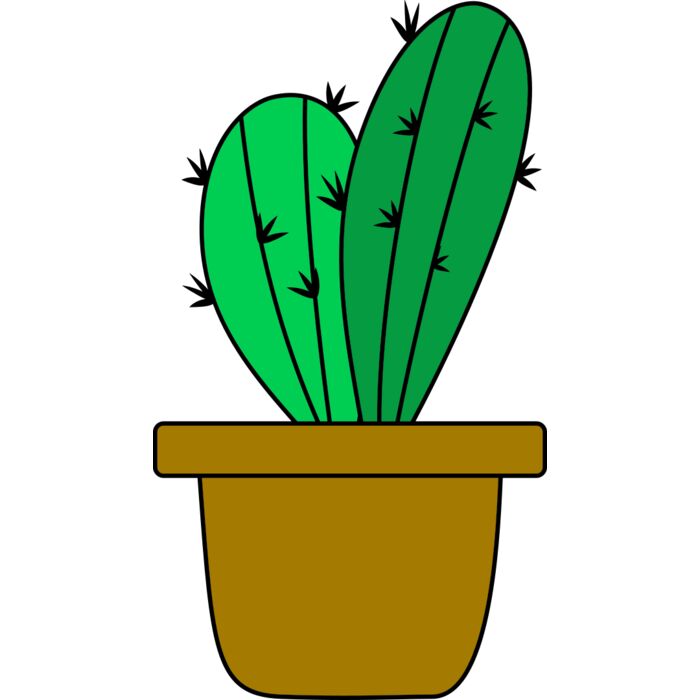 Cactus 4 Vignette