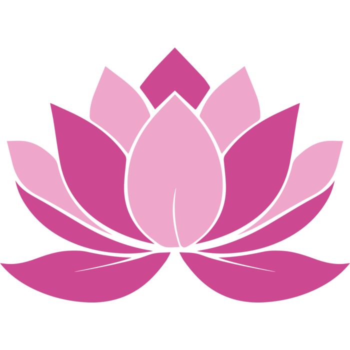 Lotus Flower 3 Vignette