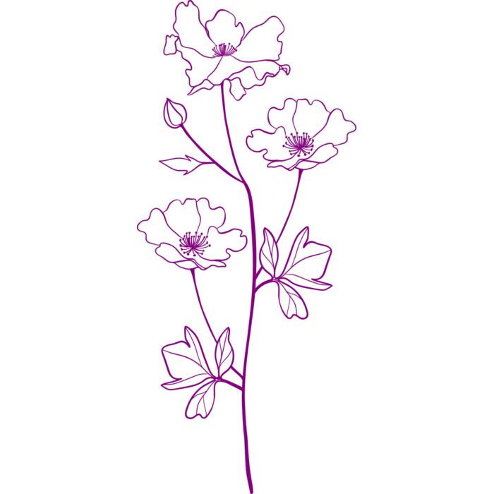 Flower 8 Vignette