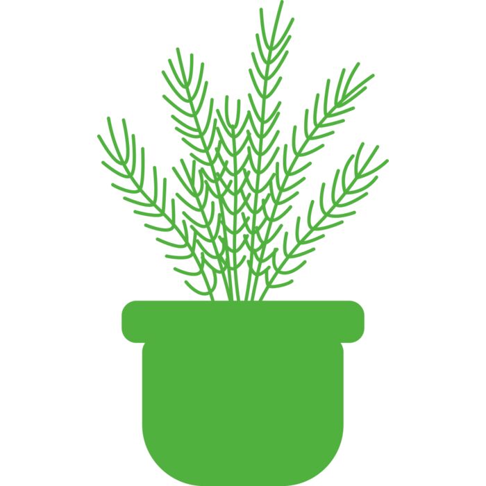 Herb Vignette
