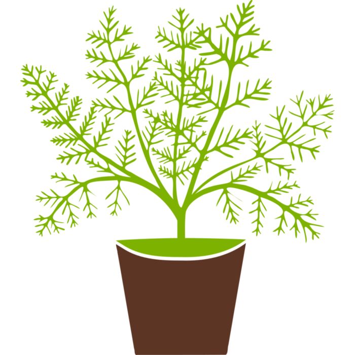 Plant Vignette