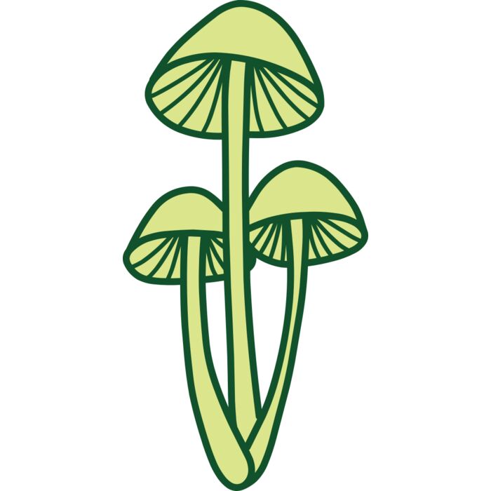 Mushroom 2 Vignette