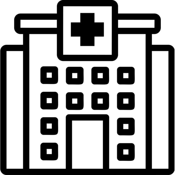 Public Hospital Vignette