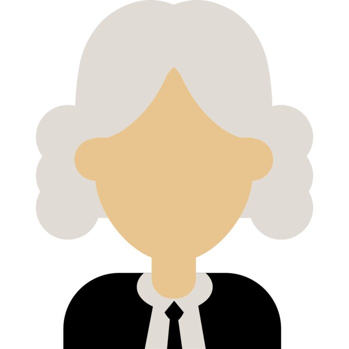 Judge Vignette