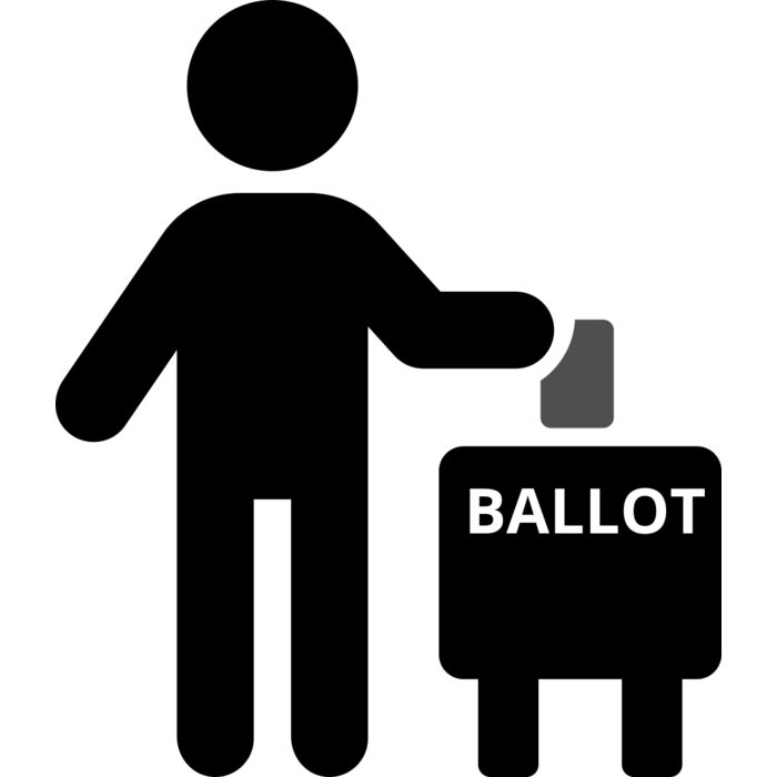 Voting 2 Vignette