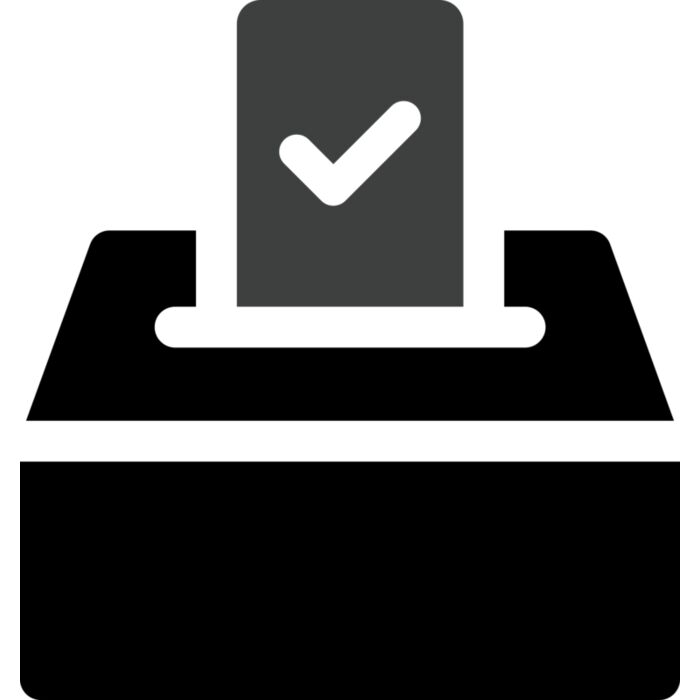 Voting Vignette