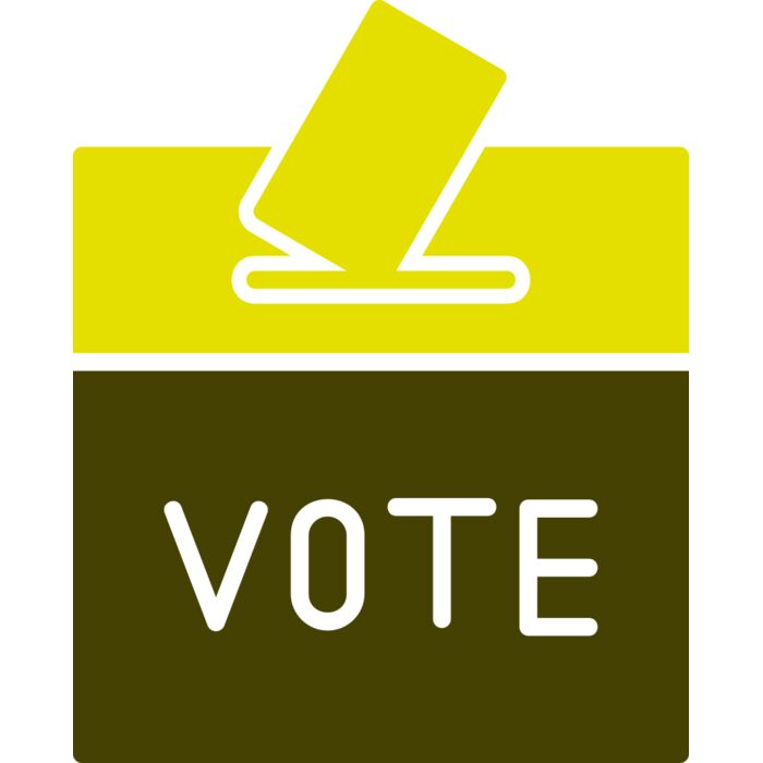 Voting 2 Vignette