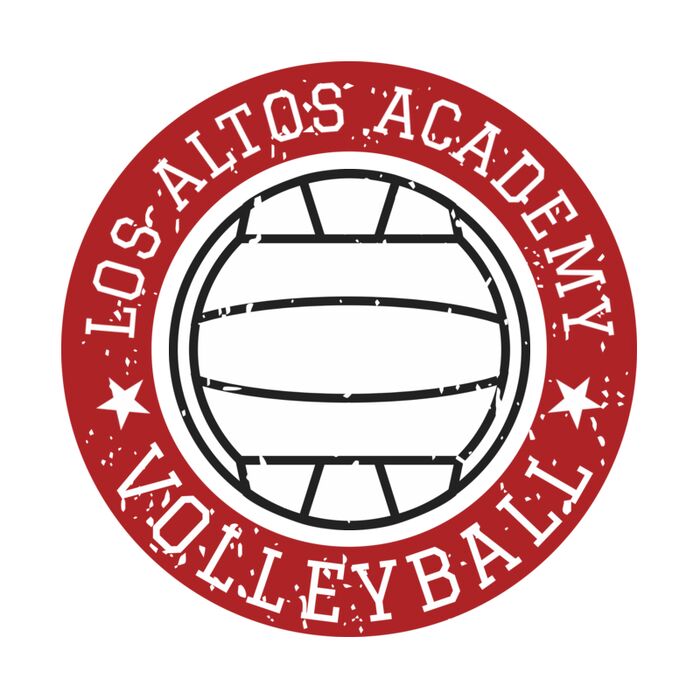 Volleyball Template DNT002 Vignette