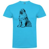 T-shirt Adulte, Awu Adodoé Braco Vignette