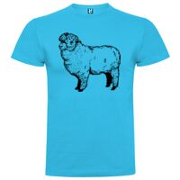 T-shirt Adulte, Awu Adodoé Braco Vignette