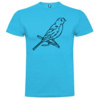 T-shirt Adulte, Awu Adodoé Braco Vignette